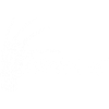 dream on