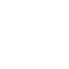 Freddy