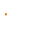 Zaragoza Rough Text City Flag Tee