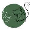 Katzen