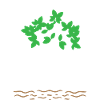 Mangroves Activist