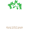Mangrove One Tree One Life
