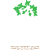 Mangroves Save Our Island
