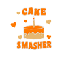 Cake Smasher