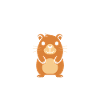 Humour Capybara