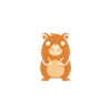 Humour Capybara