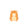 Humour Capybara