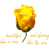 belle rose