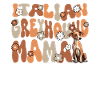 Italienisches Windspiel Italian Greyhound Mama