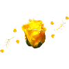 rose jaune rose