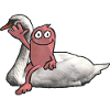 Swan Rider