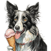 border collie glace