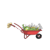 Garten Alter Mann