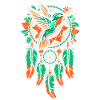Colibri Dreamcatcher Oiseau