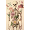 Lovely bones skeleton