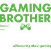 Gamer Brother Definition Gaming