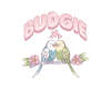 Budgerigar