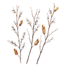 Easter Catkins