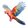 Flying Parrot