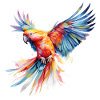 Rainbow Parrot