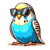 Budgie with sunglasses