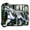 Snow Leopard Leopard White Leopard