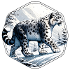 Snow Leopard Leopard White Leopard