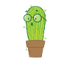 Nerd Cactus Plant