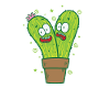 Cacti Plants Nature