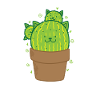 Cat Cactus in Pot Plant