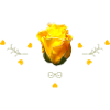 Rose Yellow Rose