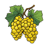 Weintrauben Symbol