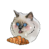 Croissant chat