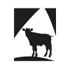Milk Cow Milk