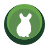 Rongeur Chinchilla Chinchilla