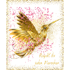 Bird. Respect.