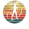 Gymnastics Silhouette Sunset
