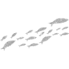 Silver Sardine Fish