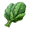 Spinach bunch