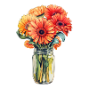 Gerbera Daisies