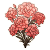 Carnations Carnation 6 Flowers