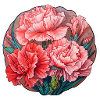 Carnations Carnation Cemetery Flowers