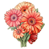 Gerbera Marguerites 4 Fleurs