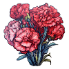Carnation Bouquet Carnation