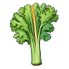Celery or celery