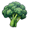 Broccoli