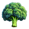 Broccoli florets
