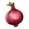 Onion red