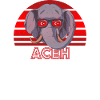 Aceh