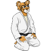 Be a Tiger